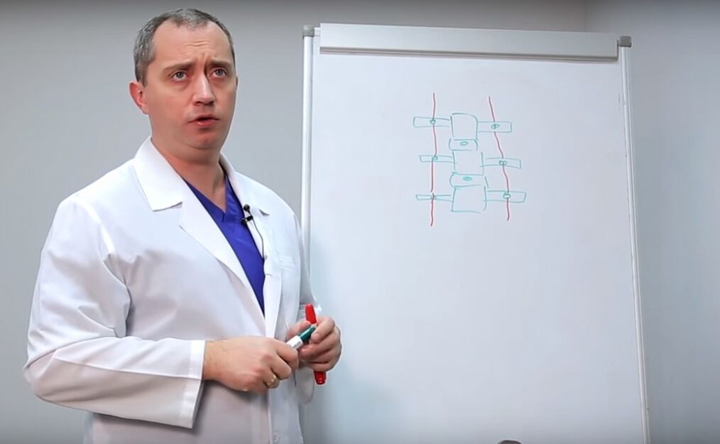 Doktor pokazuje strukturę kręgosłupa